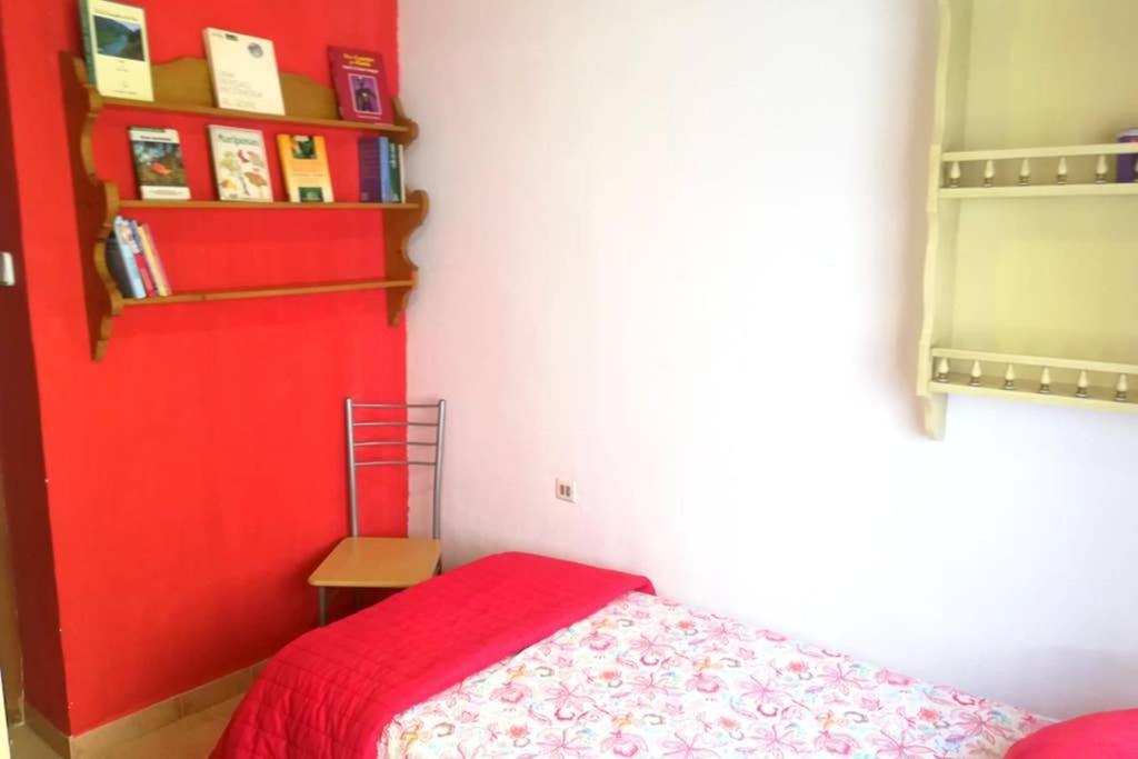 Bonito Apartamento Centro Onil 외부 사진