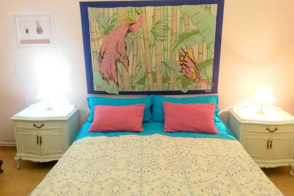Bonito Apartamento Centro Onil 외부 사진
